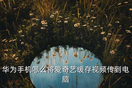 華為手機(jī)怎么將愛奇藝緩存視頻傳到電腦