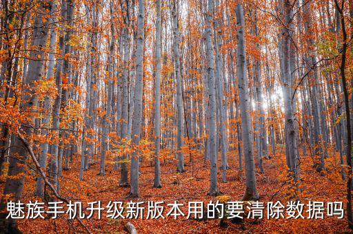 魅族手機升級新版本用的要清除數(shù)據(jù)嗎