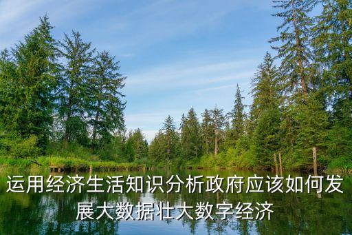 運用經(jīng)濟生活知識分析政府應(yīng)該如何發(fā)展大數(shù)據(jù)壯大數(shù)字經(jīng)濟