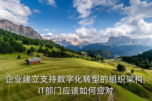 企業(yè)建立支持?jǐn)?shù)字化轉(zhuǎn)型的組織架構(gòu),IT部門應(yīng)該如何應(yīng)對(duì)