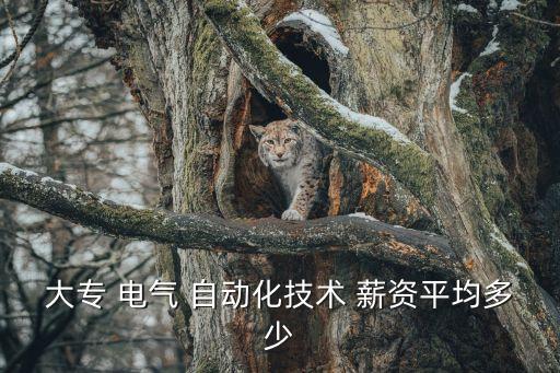 大專 電氣 自動(dòng)化技術(shù) 薪資平均多少