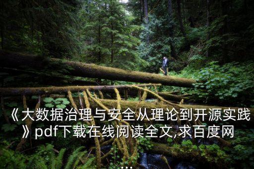 大數(shù)據(jù)的力量 pdf,第四種力量大數(shù)據(jù)改變世界