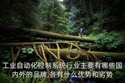 工業(yè)自動化控制系統(tǒng)行業(yè)主要有哪些國內(nèi)外的品牌,各有什么優(yōu)勢和劣勢
