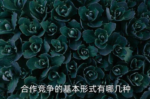  合作競爭的基本形式有哪幾種