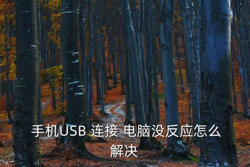  手機USB 連接 電腦沒反應(yīng)怎么解決