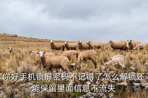 手機(jī)能備份指紋數(shù)據(jù)嗎,手機(jī)指紋設(shè)備異常無法添加或重啟手機(jī)