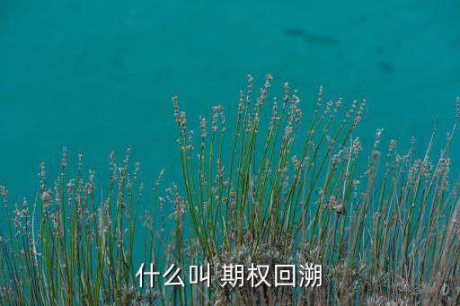 累計期權,中信泰富累計期權