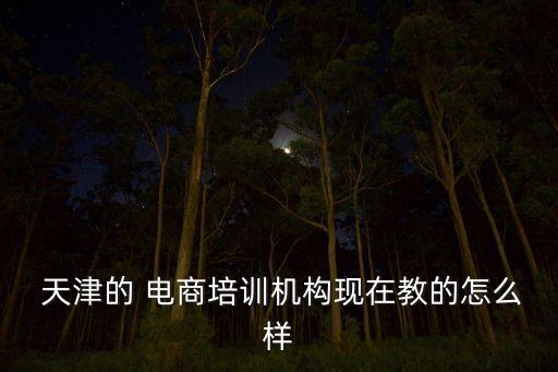  天津的 電商培訓(xùn)機(jī)構(gòu)現(xiàn)在教的怎么樣