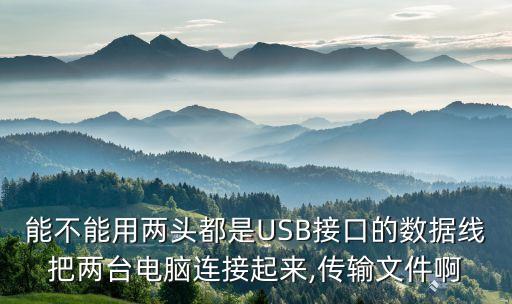 能不能用兩頭都是USB接口的數(shù)據(jù)線把兩臺電腦連接起來,傳輸文件啊