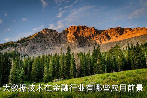 大數(shù)據(jù)技術(shù)在金融行業(yè)有哪些應(yīng)用前景