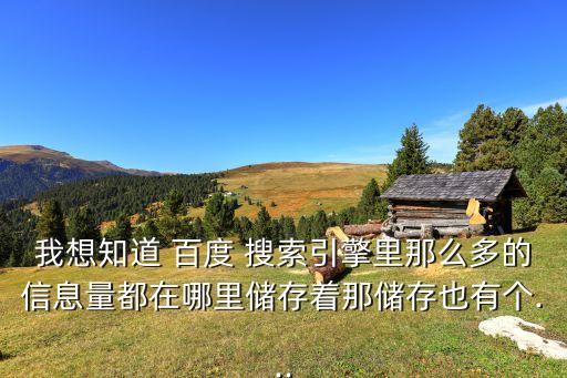 我想知道 百度 搜索引擎里那么多的信息量都在哪里儲(chǔ)存著那儲(chǔ)存也有個(gè)...