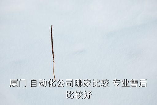專業(yè)自動(dòng)化配料系統(tǒng)生產(chǎn)廠家