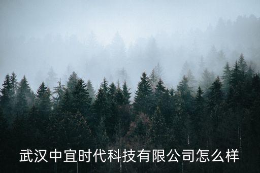 武漢中宜時(shí)代科技有限公司怎么樣