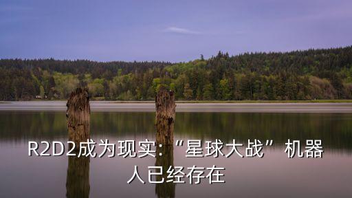 R2D2成為現(xiàn)實(shí):“星球大戰(zhàn)”機(jī)器人已經(jīng)存在