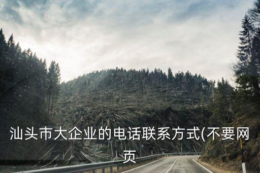 汕頭市大企業(yè)的電話聯(lián)系方式(不要網(wǎng)頁