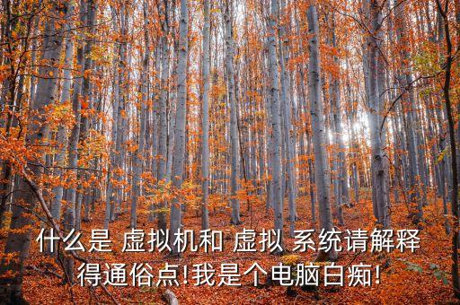 虛擬系統(tǒng),電腦虛擬系統(tǒng)