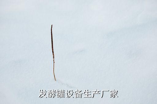 發(fā)酵罐設(shè)備生產(chǎn)廠家