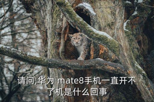 mate8放口袋自動(dòng)重啟,華為手機(jī)放在口袋里總是自動(dòng)重啟