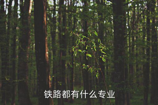  鐵路都有什么專業(yè)