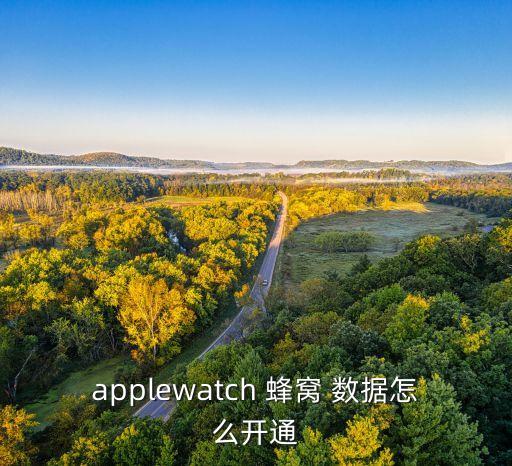 applewatch 蜂窩 數(shù)據怎么開通