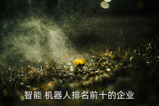 國內(nèi)做機器人上市公司有哪些,國內(nèi)最先進的機器人上市公司
