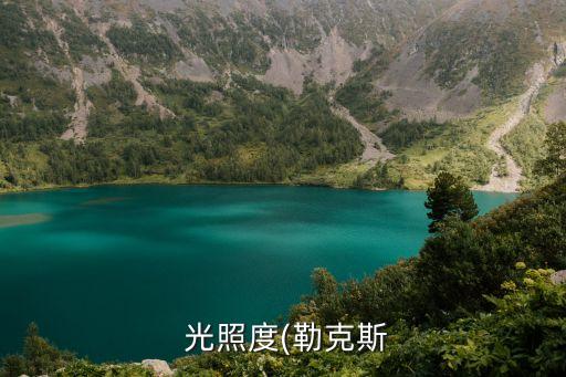 光照