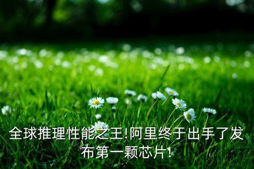 全球推理性能之王!阿里終于出手了發(fā)布第一顆芯片!