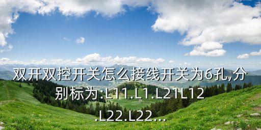 雙開(kāi)雙控開(kāi)關(guān)怎么接線開(kāi)關(guān)為6孔,分別標(biāo)為:L11.L1.L21L12.L22.L22...