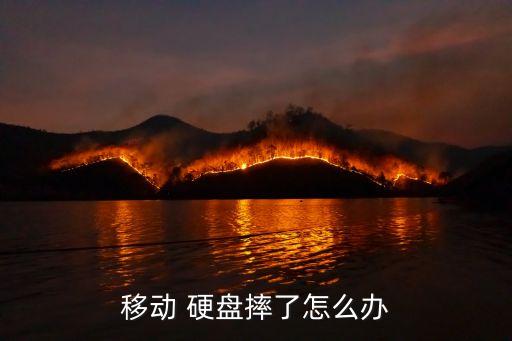 移動(dòng) 硬盤摔了怎么辦