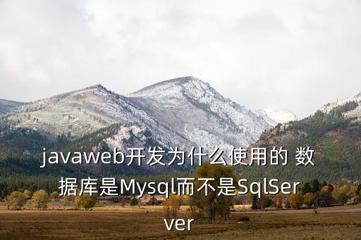 javaweb開發(fā)為什么使用的 數(shù)據(jù)庫是Mysql而不是SqlServer