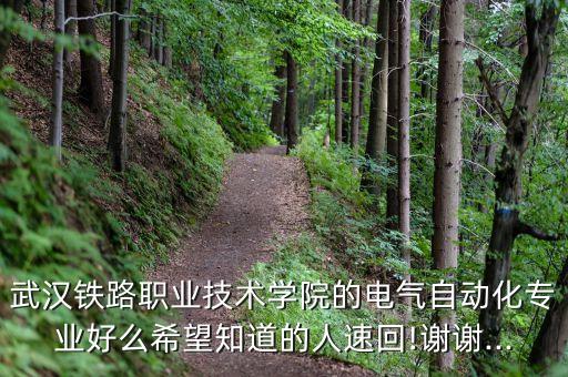 武漢鐵路職業(yè)技術(shù)學(xué)院的電氣自動(dòng)化專業(yè)好么希望知道的人速回!謝謝...