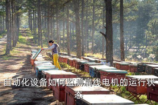 自動(dòng)化設(shè)備如何監(jiān)測(cè)扁線電機(jī)的運(yùn)行狀態(tài)