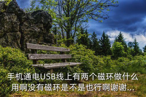 手機通電USB線上有兩個磁環(huán)做什么用啊沒有磁環(huán)是不是也行啊謝謝...