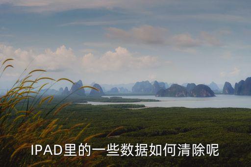 ipad清空應用數(shù)據(jù),ipad怎么清除緩存數(shù)據(jù)?