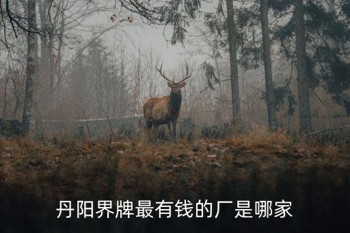 丹陽(yáng)界牌最有錢(qián)的廠是哪家