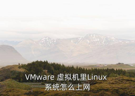 VMware 虛擬機(jī)里L(fēng)inux 系統(tǒng)怎么上網(wǎng)
