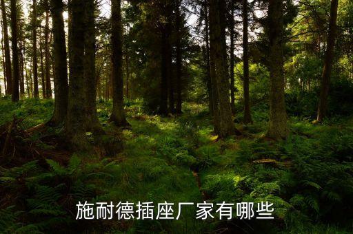 施耐德插座廠家有哪些