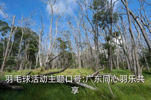 羽毛球活動(dòng)主題口號(hào):廣東同心羽樂(lè)共享