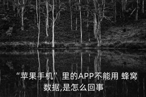 “蘋果手機(jī)”里的APP不能用 蜂窩 數(shù)據(jù),是怎么回事