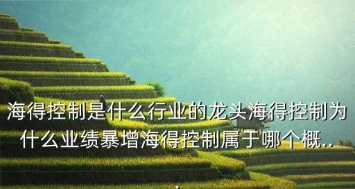 海得控制是什么行業(yè)的龍頭海得控制為什么業(yè)績暴增海得控制屬于哪個概...