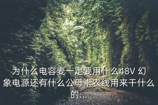 為什么電容麥一定要用什么48V 幻象電源還有什么公母卡農(nóng)線用來干什么的...