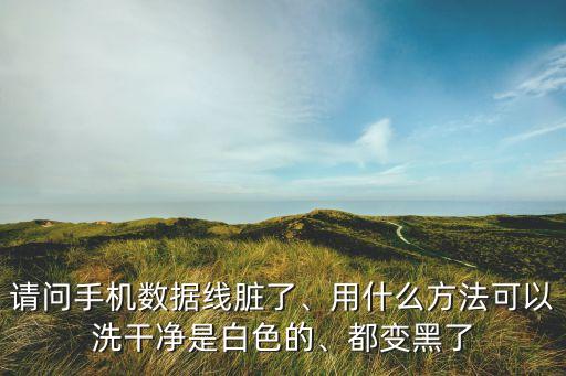 請(qǐng)問(wèn)手機(jī)數(shù)據(jù)線(xiàn)臟了、用什么方法可以洗干凈是白色的、都變黑了