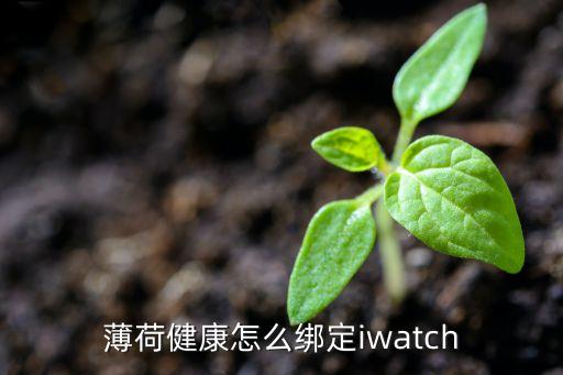 app薄荷同步健康數(shù)據(jù),晨光|潮流解碼:記錄飲食運(yùn)動(dòng)瘦身