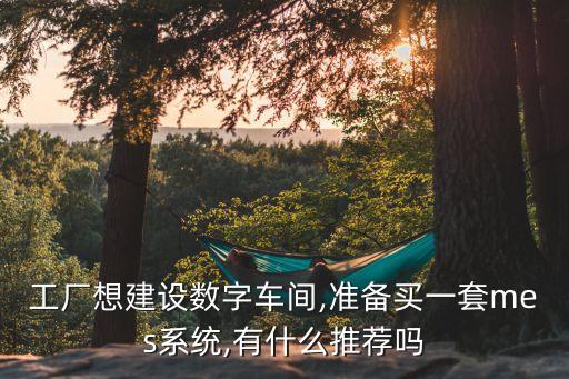 工廠想建設(shè)數(shù)字車間,準備買一套mes系統(tǒng),有什么推薦嗎