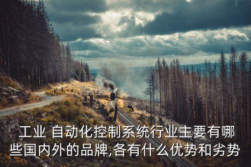  工業(yè) 自動化控制系統(tǒng)行業(yè)主要有哪些國內(nèi)外的品牌,各有什么優(yōu)勢和劣勢