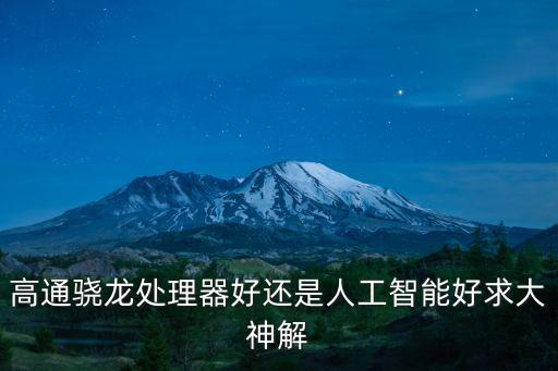 高通驍龍?zhí)幚砥骱眠€是人工智能好求大神解