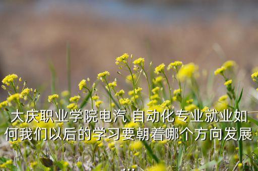 大慶職業(yè)學(xué)院電汽 自動化專業(yè)就業(yè)如何我們以后的學(xué)習(xí)要朝著哪個方向發(fā)展...