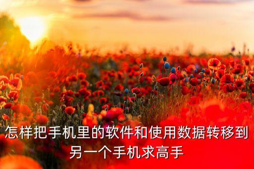 怎樣把手機(jī)里的軟件和使用數(shù)據(jù)轉(zhuǎn)移到另一個(gè)手機(jī)求高手