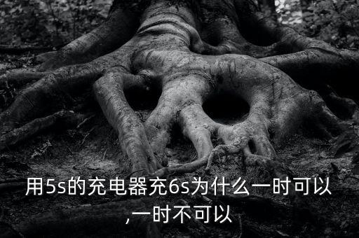 用5s的充電器充6s為什么一時可以,一時不可以
