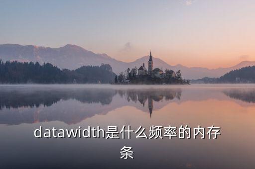 datawidth是什么頻率的內(nèi)存條